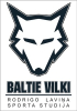 Mārupes Baltu Vilki