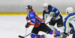 2015 Virslīga HK Zemgale/LLU - HK Mogo 2:4