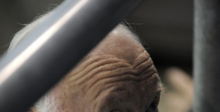 Izlases treniņš