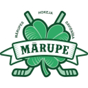 MHS logo