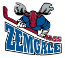 JLSS U-11 B logo