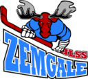 HK Zemgale/LLU logo