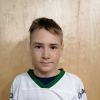 Domeniks MARTINOVS VĪNKALNS