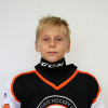Gustavs Kokmanis