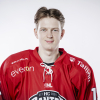 Ilja GRIGORJEV