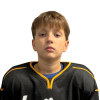 Roberts EVARTS