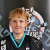 Roberts ZĪLE