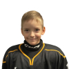 Valters Uldis PRIEDE
