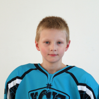 Aleksandrs Starkovs