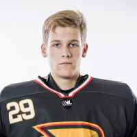 Aleksejs Cerikovs