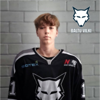 Andis Rupeiks