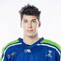 Antons Siņegubovs