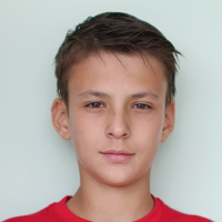 Arkady Reyzin