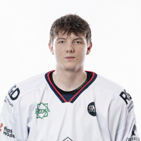 Artem Danfort