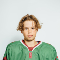 Artis Skrebeļs
