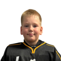 Boriss Koškulis