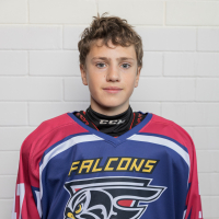 Daniels Gornaks