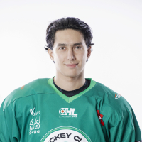 Daniyar Gabdullin
