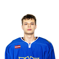 Darens Vizulis