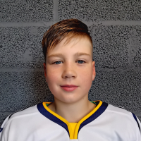 Dāvis Ābeltiņš
