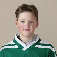 Dāvis Borozinskis
