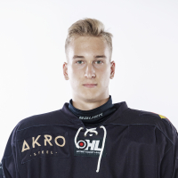 Dominykas Boravski