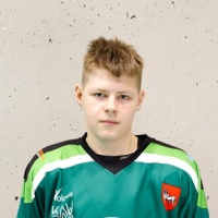Dominykas Žilionis