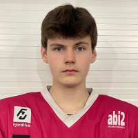 Edgars Mironovs