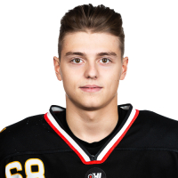 Edijs Grigorjevs