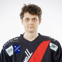 Egidijus Binkulis
