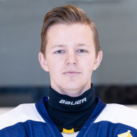 Elvis Kaimiņš
