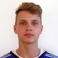 Elvis Veisbergs
