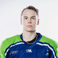 Gustavs Bergs
