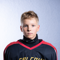 Henrijs Āboliņš