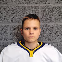 Henrijs Grīnbergs