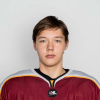 Igor Lobov