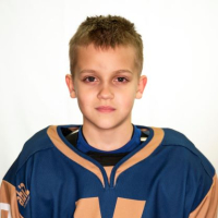 Iļja Šamšei