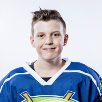 Kārlis Avotiņš