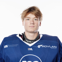 Kārlis Mežsargs