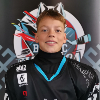 Krišs Vanags