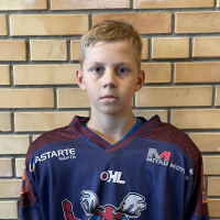 Miķelis Birziņš