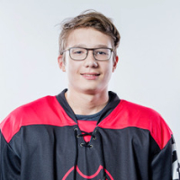 Ņikita Pavlovičš