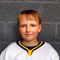 Otto Griestiņš