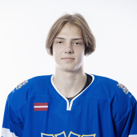 Raivis Strazdiņš