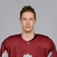 Ričards Briņecs