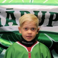 Rihards Jaudzems