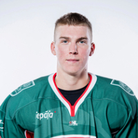 Romāns Ņekļudovs