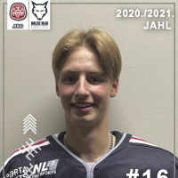 Verners Krastiņš