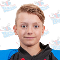 Verners Veinbergs