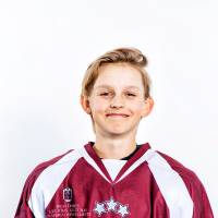 Viesturs Velšs
